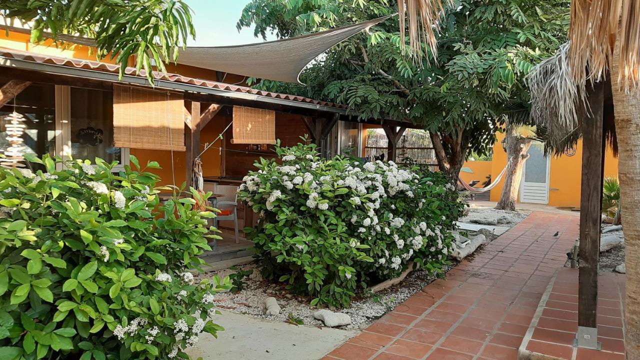 B&B Casa Trankilo Playa Exteriér fotografie